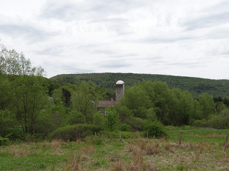 180 Acres Hunting and Recreational Land near Cooperstown NY NY