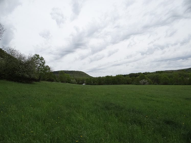 180 Acres Hunting and Recreational Land near Cooperstown NY NY