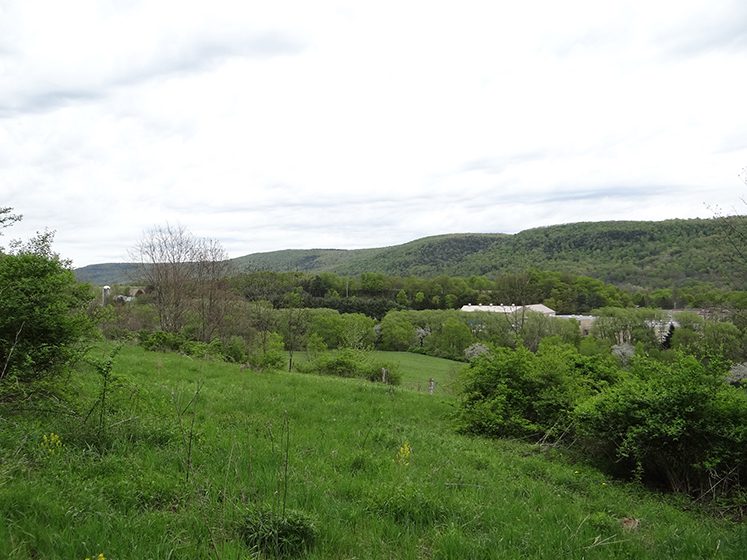 180 Acres Hunting and Recreational Land near Cooperstown NY NY