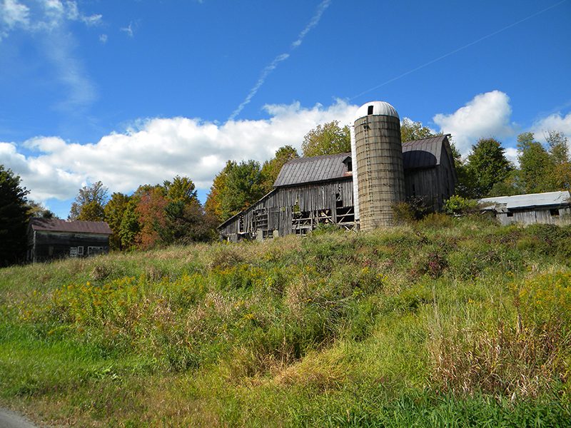 286 Acres Abandoned Farm in the Finger Lakes Region NY LandQuest NY