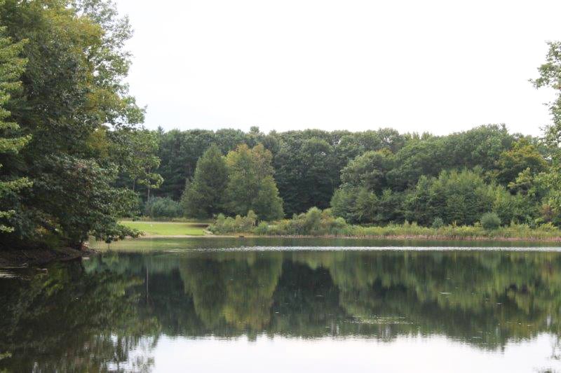 Waterfront Lot on Fawn Lake near Salmon River NY LandQuest NY LandQuest