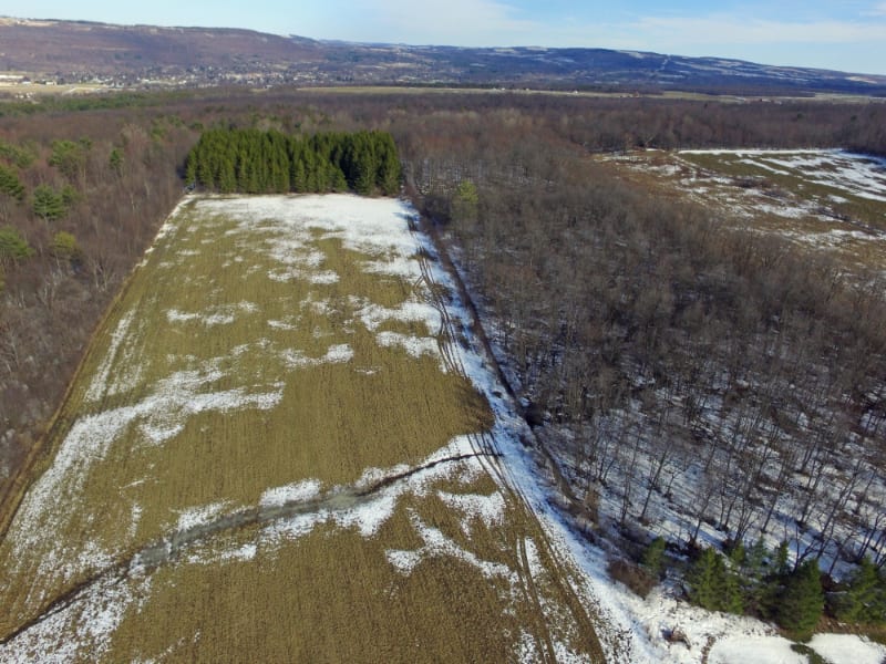 13 acres near Dansville NY and State Forests NY LandQuest NY LandQuest
