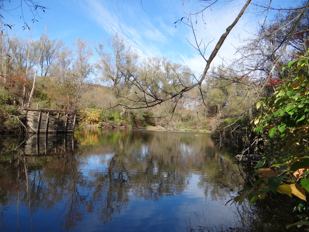 37 Acres with Trout Stream NY LandQuest NY LandQuest