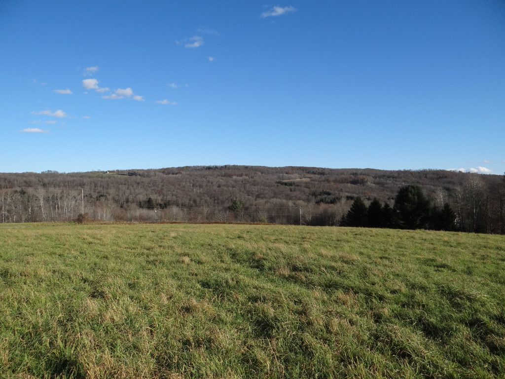 10 New York Country Acres with Stream NY LandQuest NY LandQuest