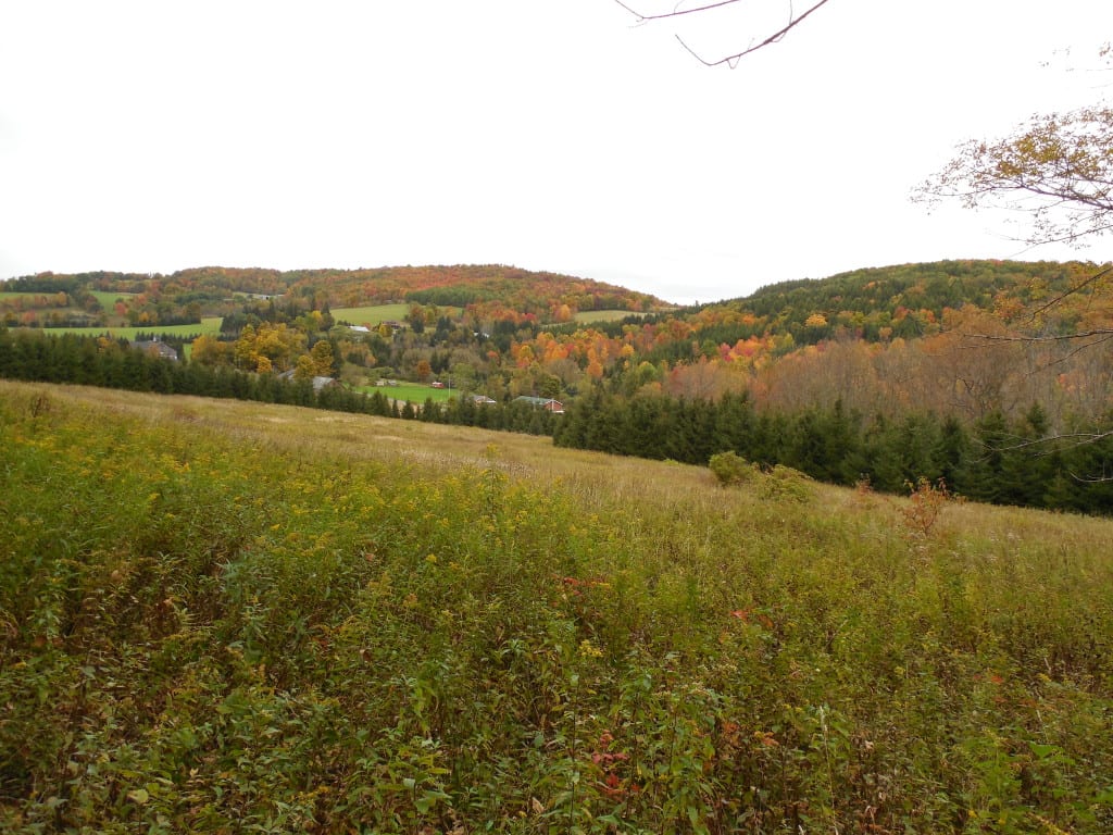 45 acres in Hamden NY in the Foothills of the Catskill Mountains NY