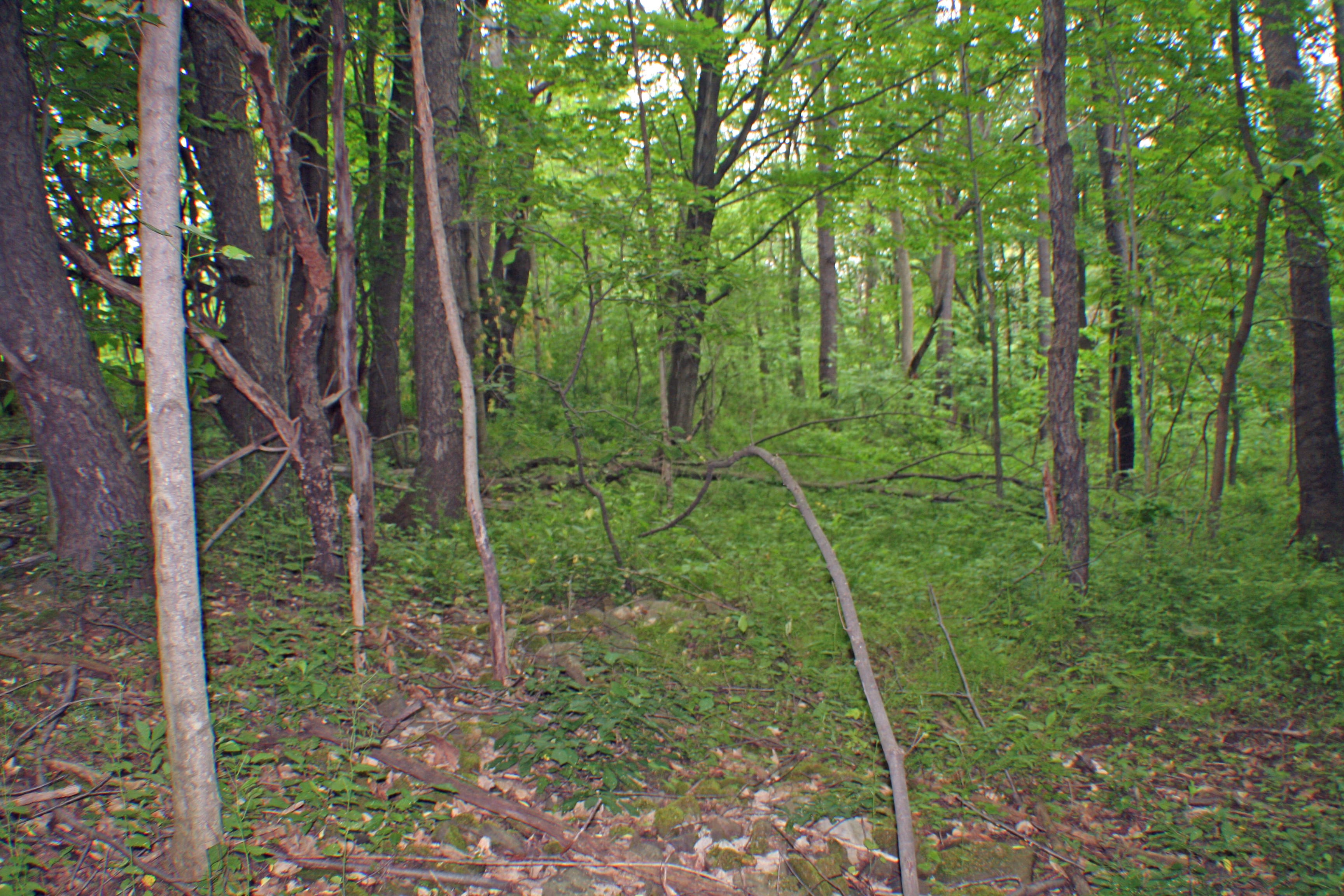 10 acres in Springwater NY near Hemlock Lake and Canadice Lake NY