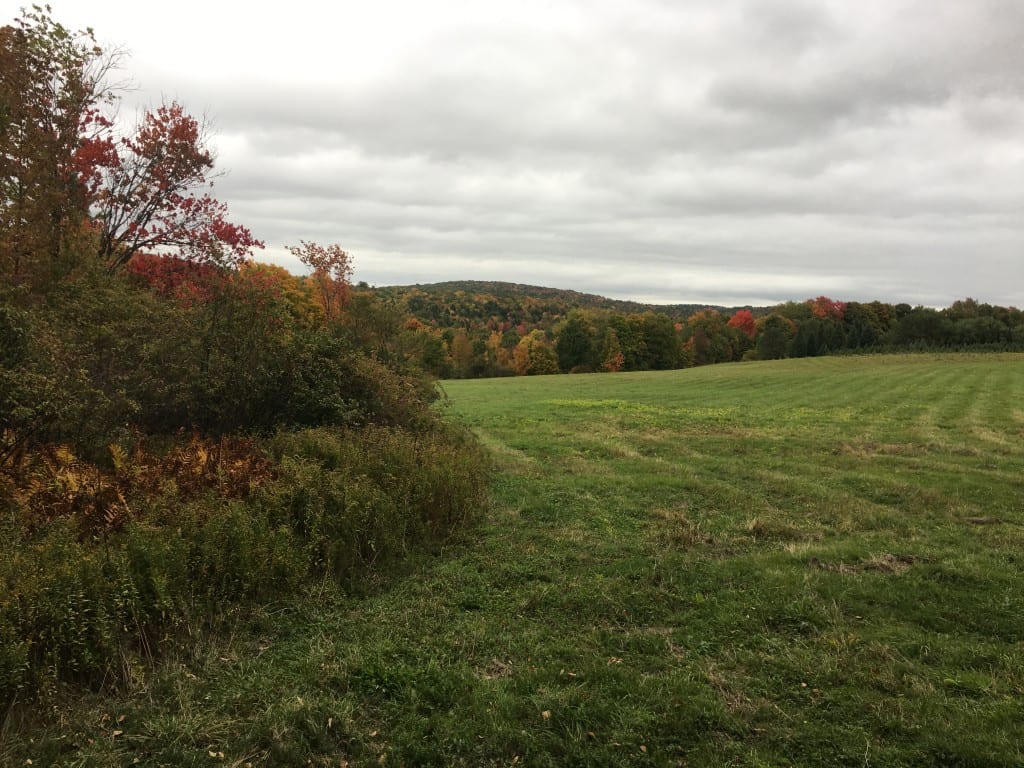 15 acres in Colesville NY near State Forest NY LandQuest NY LandQuest