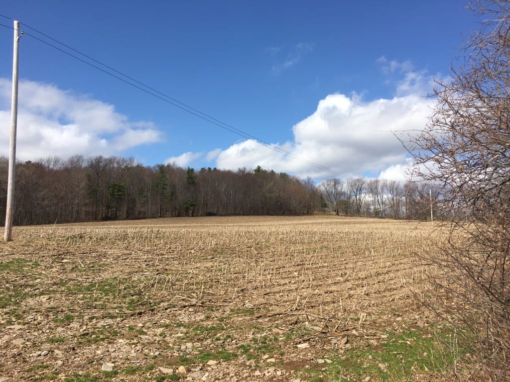 79 acres Farmland in Franklin NY with Owner Financing NY LandQuest