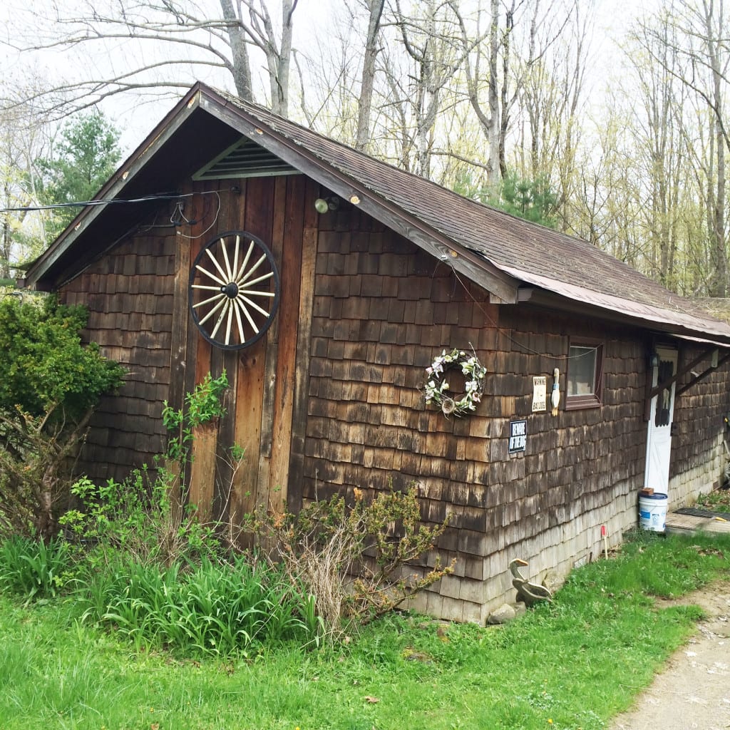 Cabin in Angelica NY 59 Town Hill Road with Pond and Woods NY