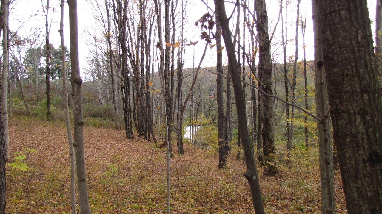 Land with Trout Stream in Marathon NY Cortland County 42 Acres NY