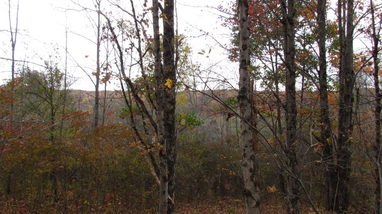 Land with Trout Stream in Marathon NY Cortland County 42 Acres NY