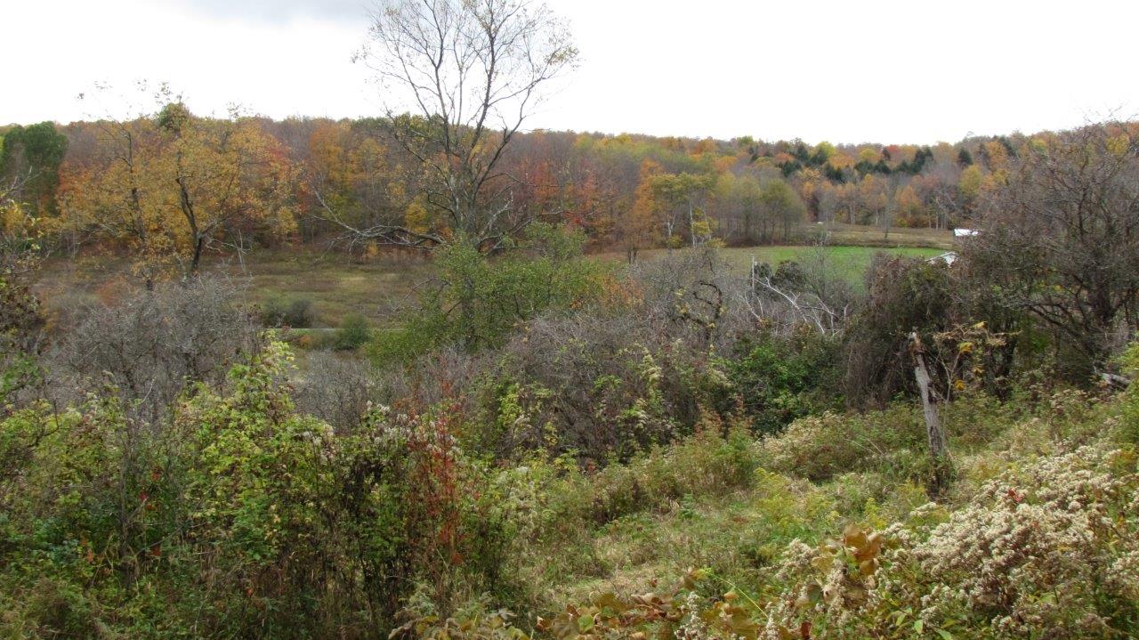 Land with Trout Stream in Marathon NY Cortland County 42 Acres NY