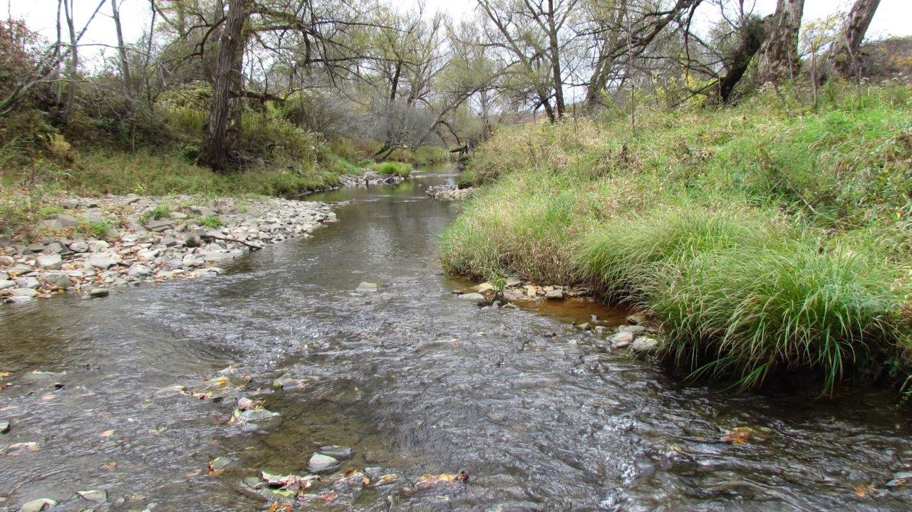 Land with Trout Stream in Marathon NY Cortland County 42 Acres NY