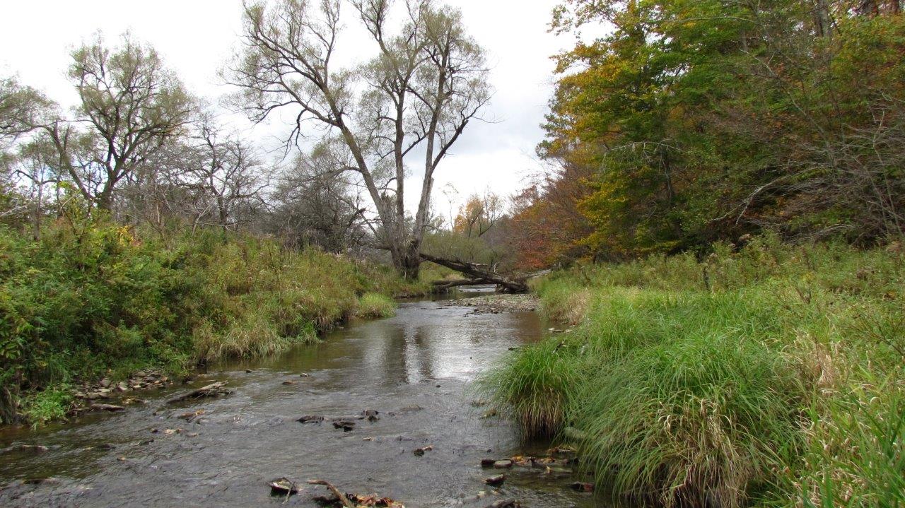 Land with Trout Stream in Marathon NY Cortland County 42 Acres NY