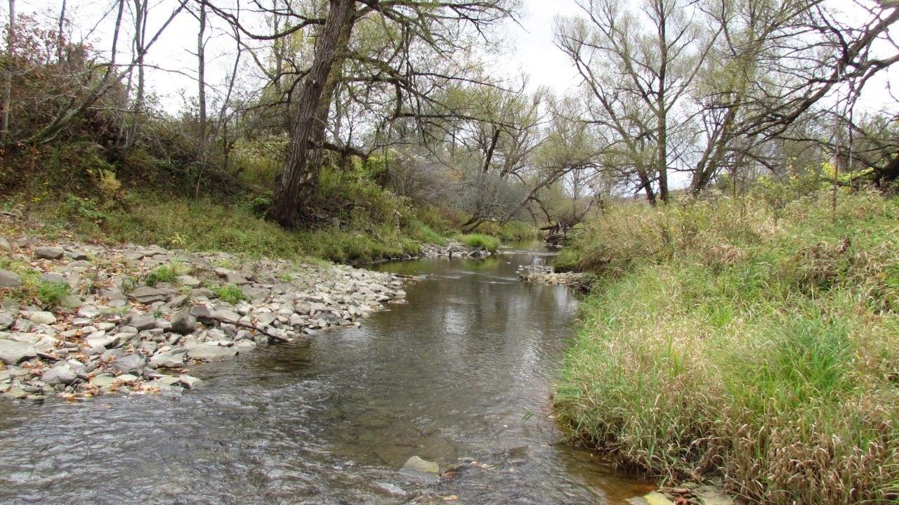 Land with Trout Stream in Marathon NY Cortland County 42 Acres NY