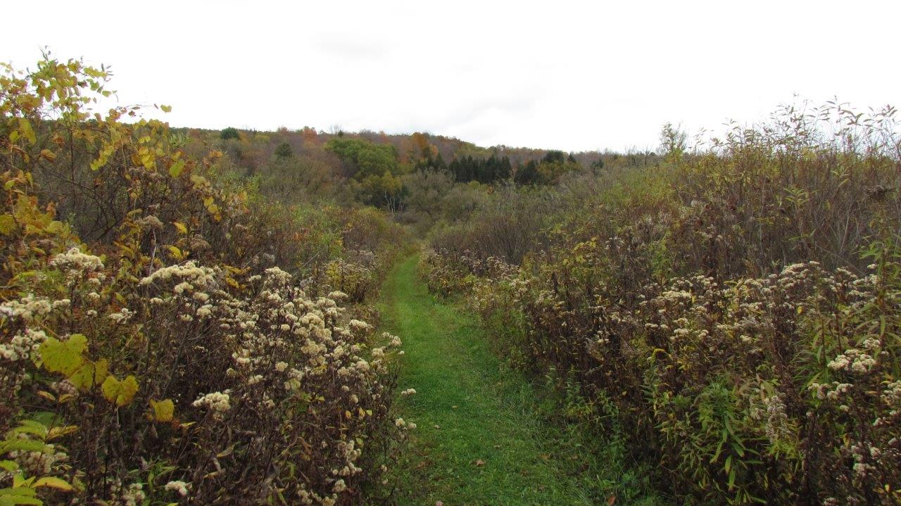 Land with Trout Stream in Marathon NY Cortland County 42 Acres NY