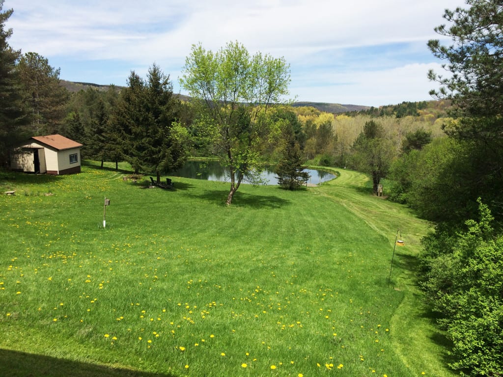 12 acres House with Pond in West Almond NY NY LandQuest NY LandQuest