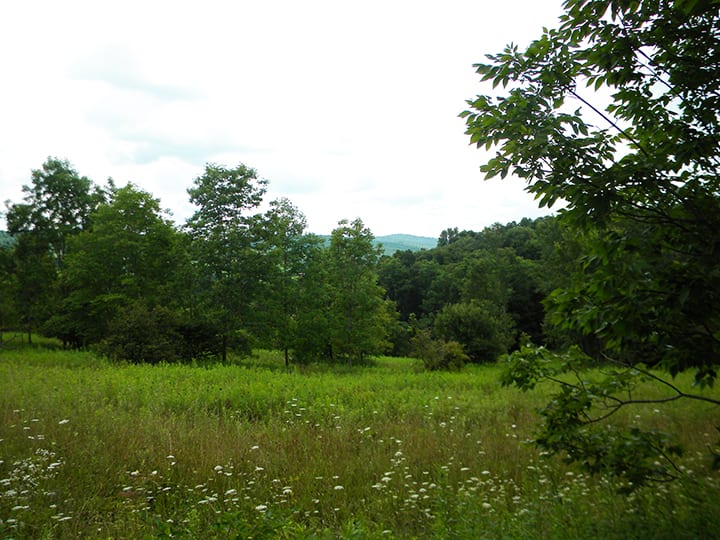 Country Building Lot near Ithaca NY LandQuest NY LandQuest