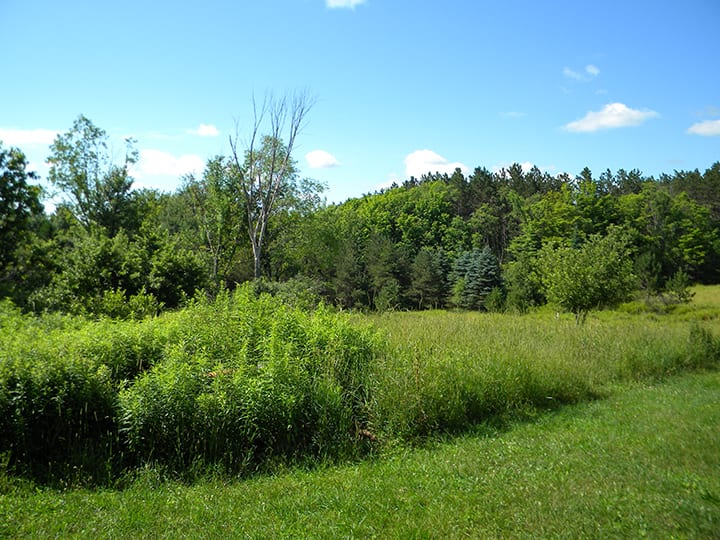 New York Hunting Property bordering State Land NY LandQuest NY