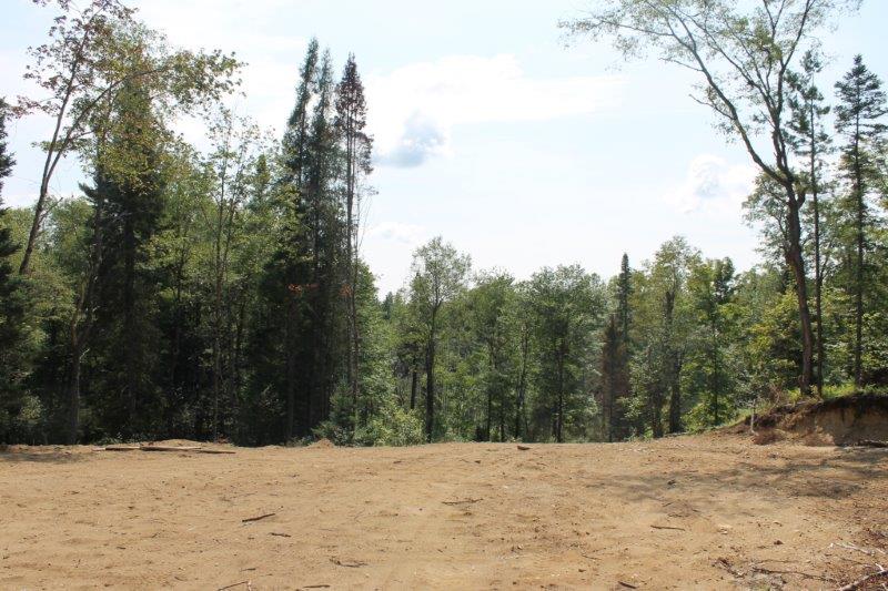 Land in the Adirondacks Perfect Building Site 40 Acres NY LandQuest NY LandQuest