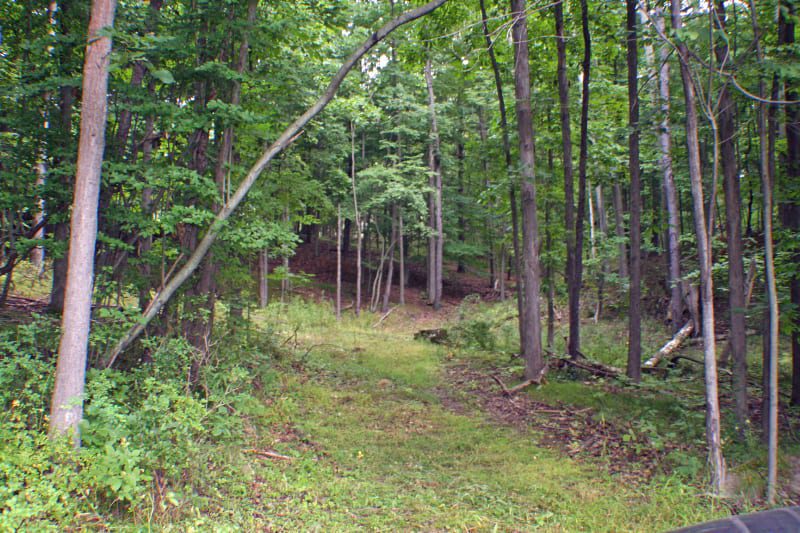 15 Acres in Dansville NY bordering the Dansville Water Reservoir NY