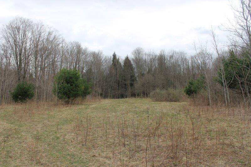 Land in Nelson NY near Eaton Brook Reservoir with Owner Financing NY